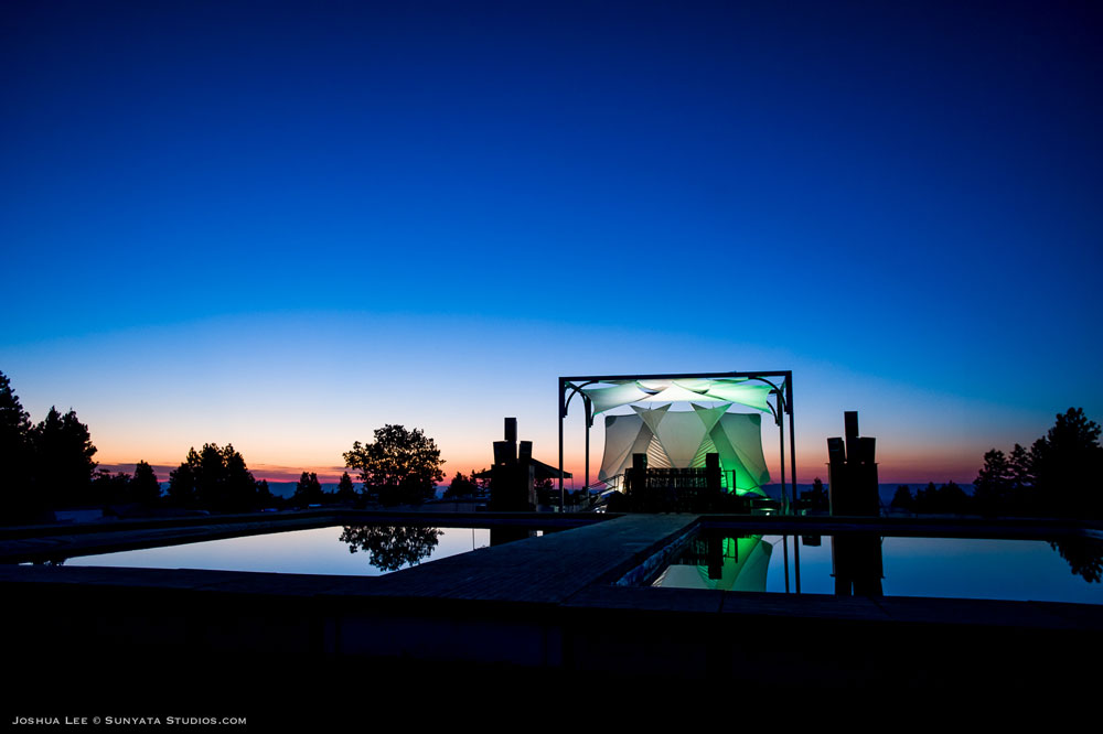 What The Festival, photo by Joshua Lee