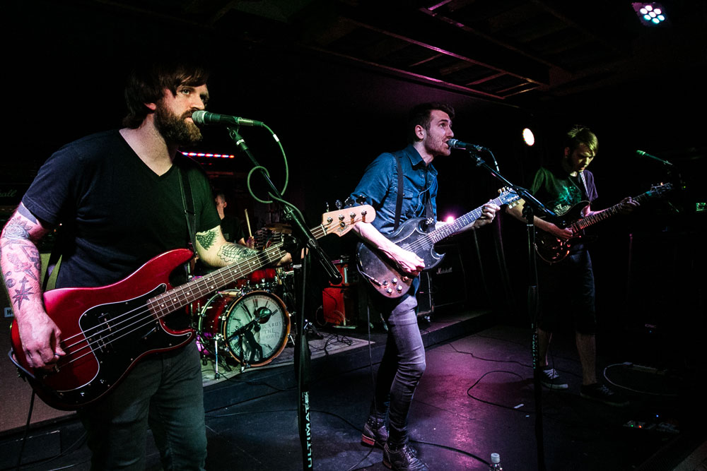 Icarus The Owl, The Analog Cafe [CLOSED], photo by Corey Terrill