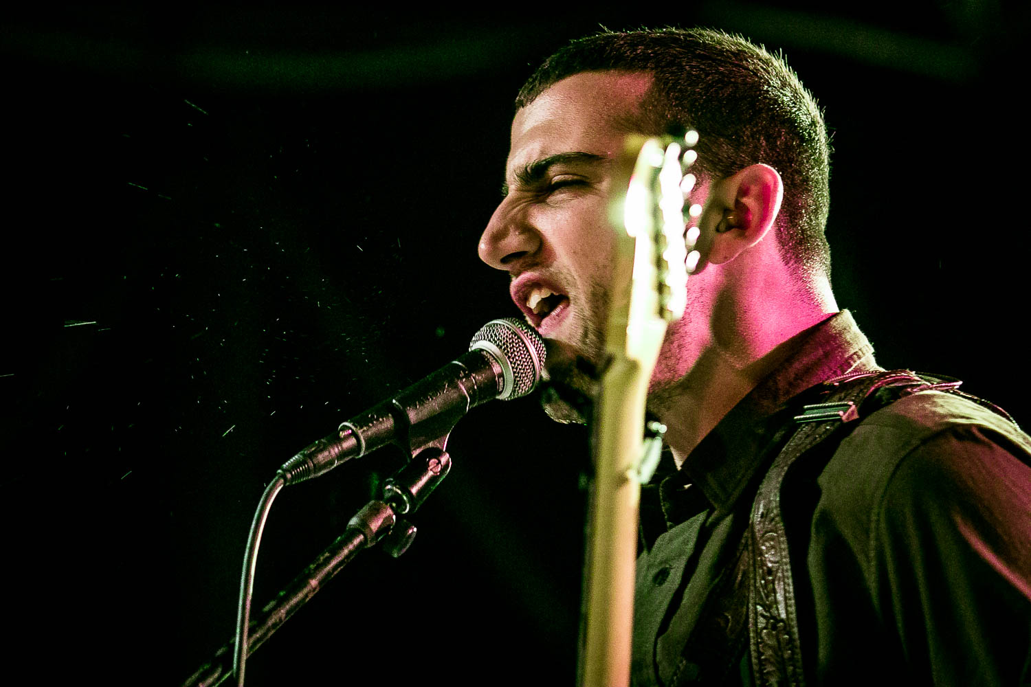 Cymbals Eat Guitar, Roseland Theater, photo by Corey Terrill