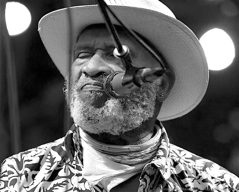 Taj Mahal & the Phantom Blues Band, Tom McCall Waterfront Park, photo by John Alcala