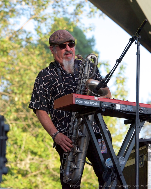 Los Lobos, Cuthbert Amphitheater, photo by John Alcala