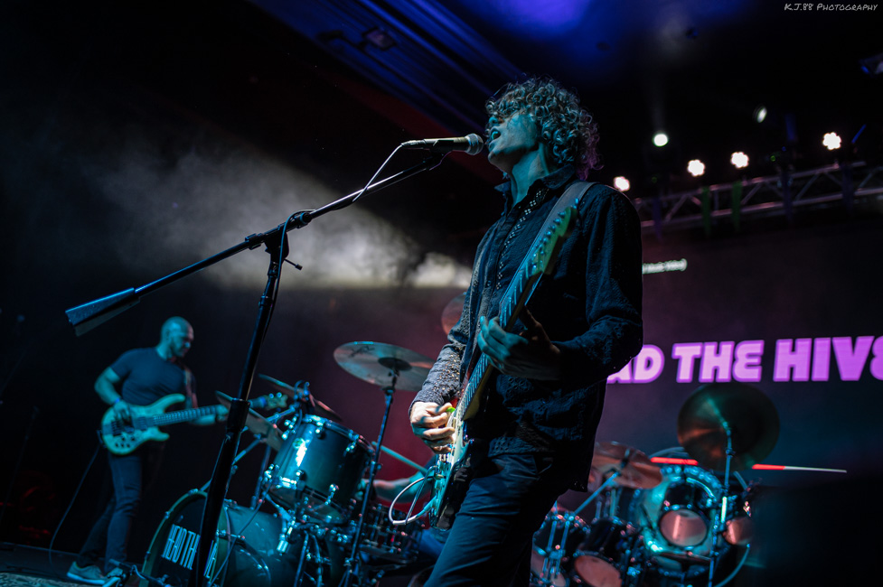 Head the Hive, Bossanova Ballroom, photo by Kevin Pettigrew