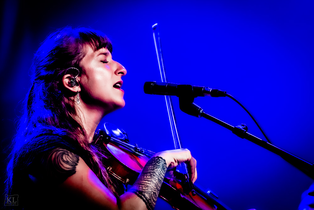 Lost Dog Street Band, Revolution Hall, photo by Kris Luke