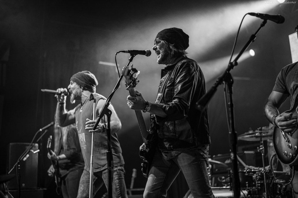 Loyal Order, Bossanova Ballroom, photo by Kevin Pettigrew