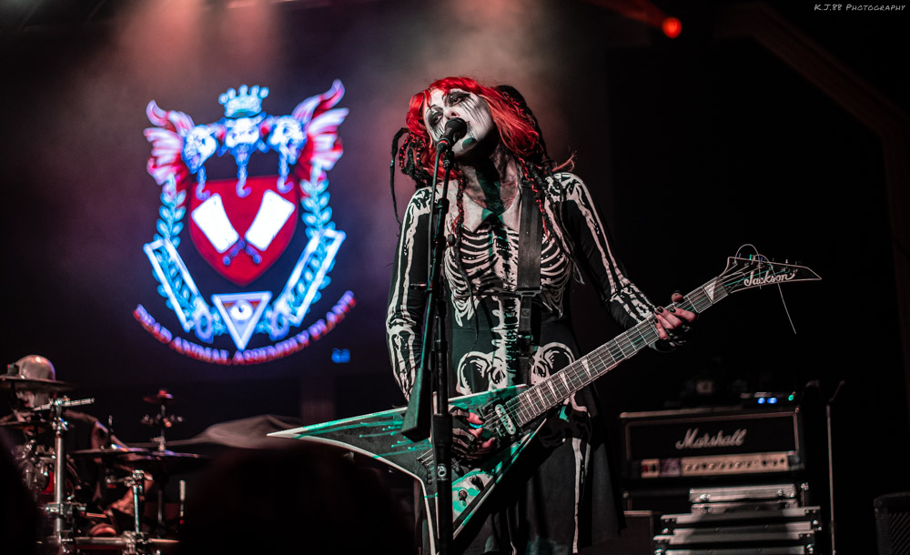 Dead Animal Assembly Plant, Bossanova Ballroom, photo by Kevin Pettigrew