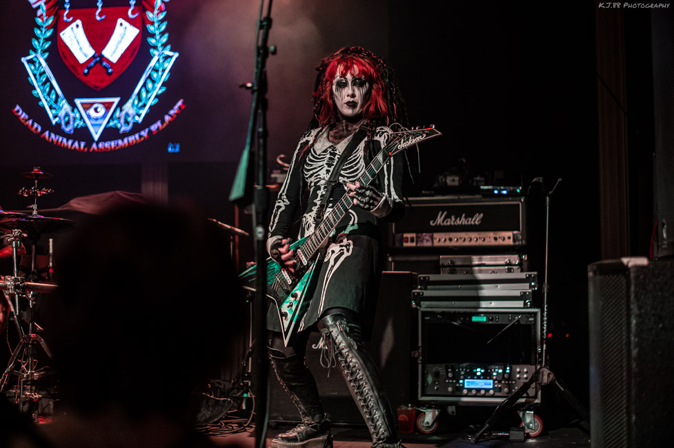 Dead Animal Assembly Plant, Bossanova Ballroom, photo by Kevin Pettigrew