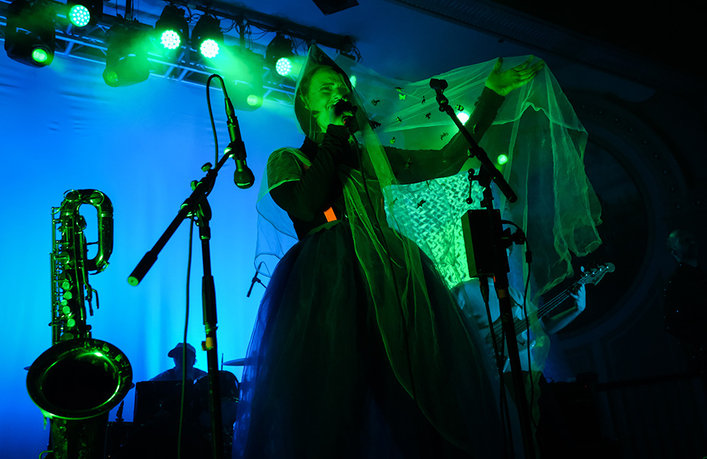 Rubblebucket, Crystal Ballroom, photo by Joe Duquette