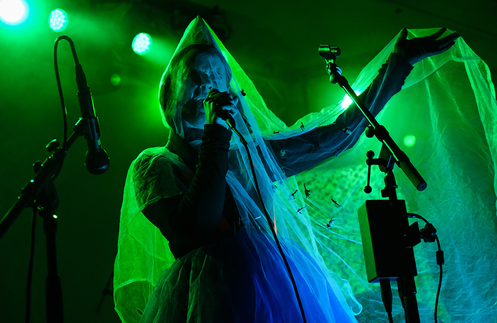 Rubblebucket, Crystal Ballroom, photo by Joe Duquette