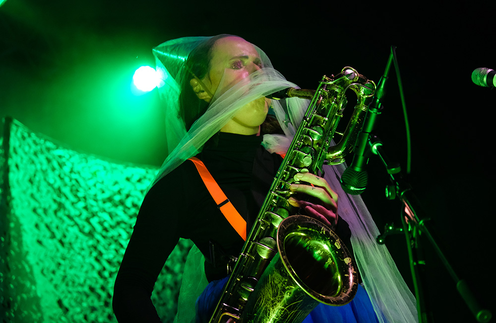 Rubblebucket, Crystal Ballroom, photo by Joe Duquette