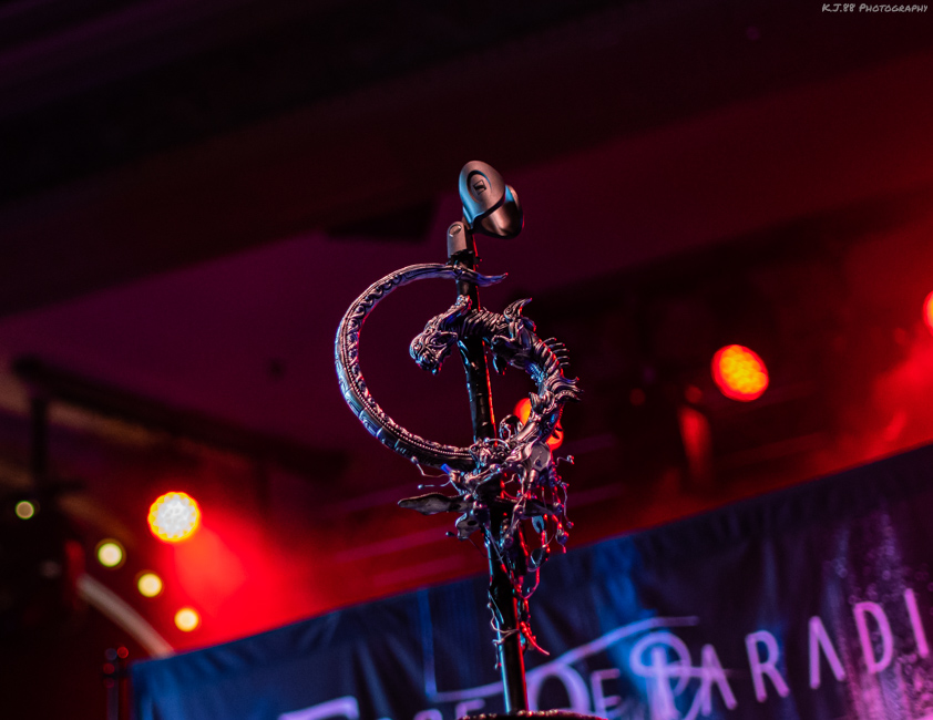 Edge of Paradise, Crystal Ballroom, photo by Kevin Pettigrew