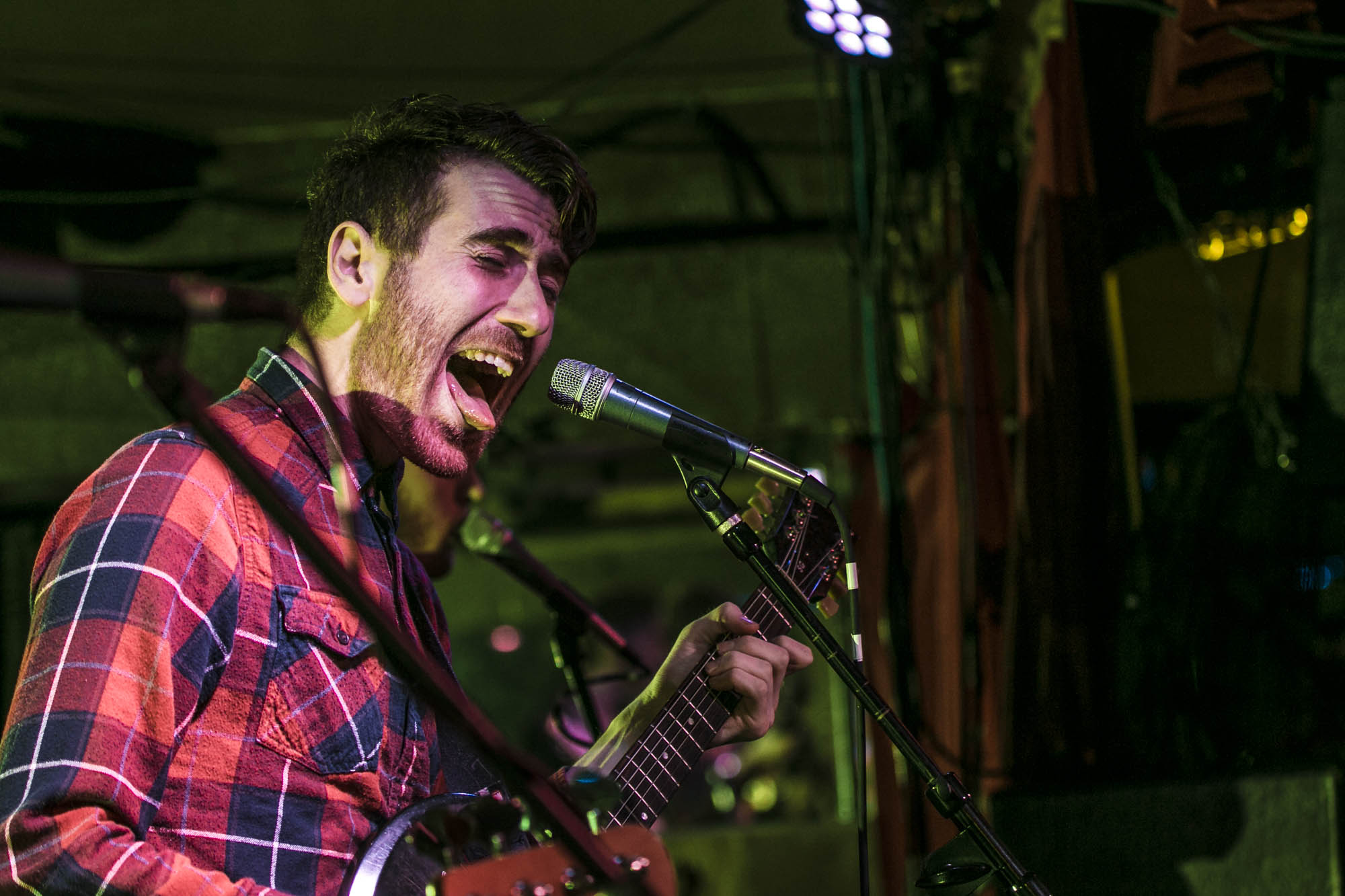 Icarus The Owl, The Analog Cafe [CLOSED], photo by Corey Terrill