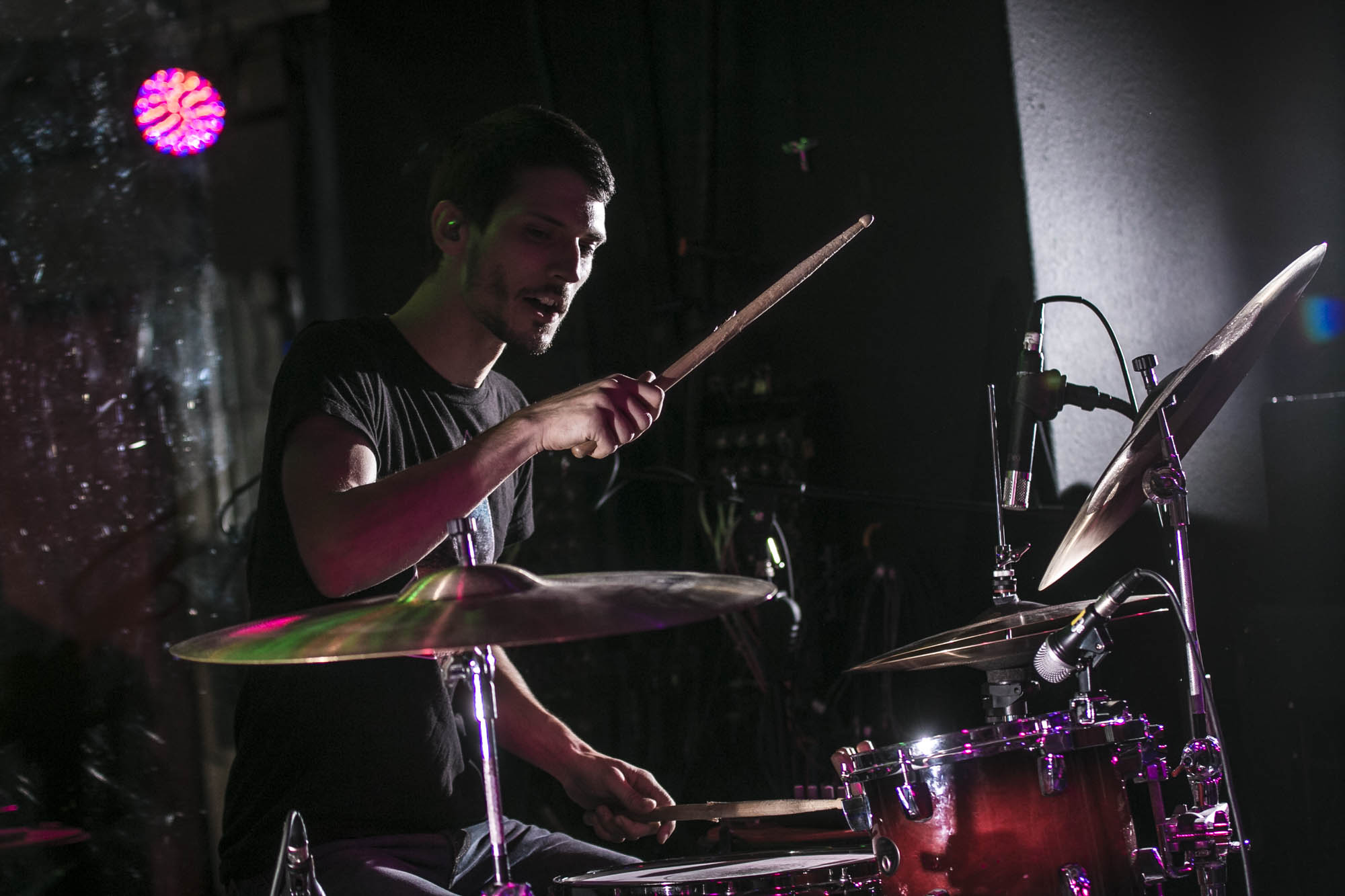 Icarus The Owl, The Analog Cafe [CLOSED], photo by Corey Terrill
