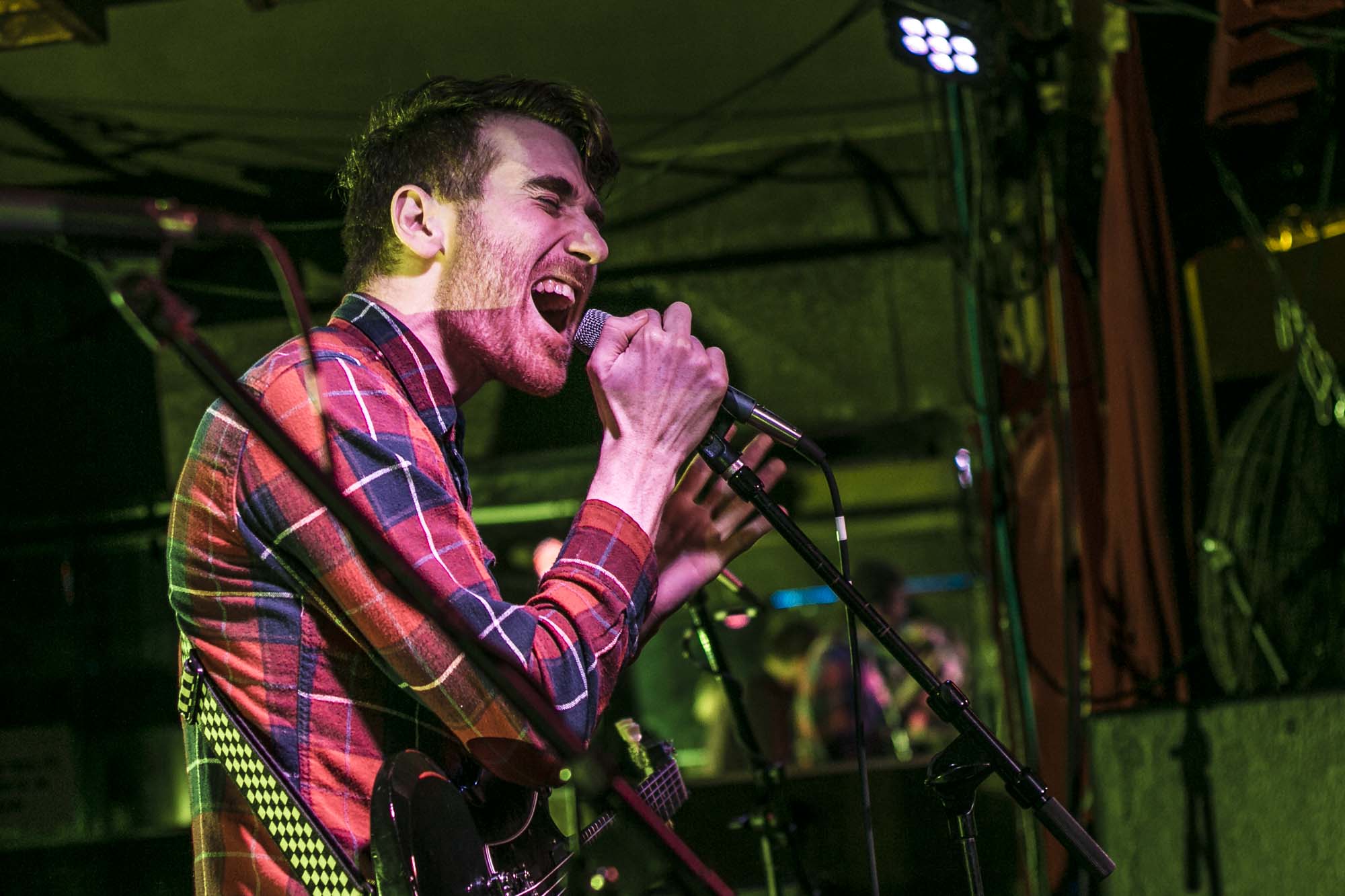 Icarus The Owl, The Analog Cafe [CLOSED], photo by Corey Terrill