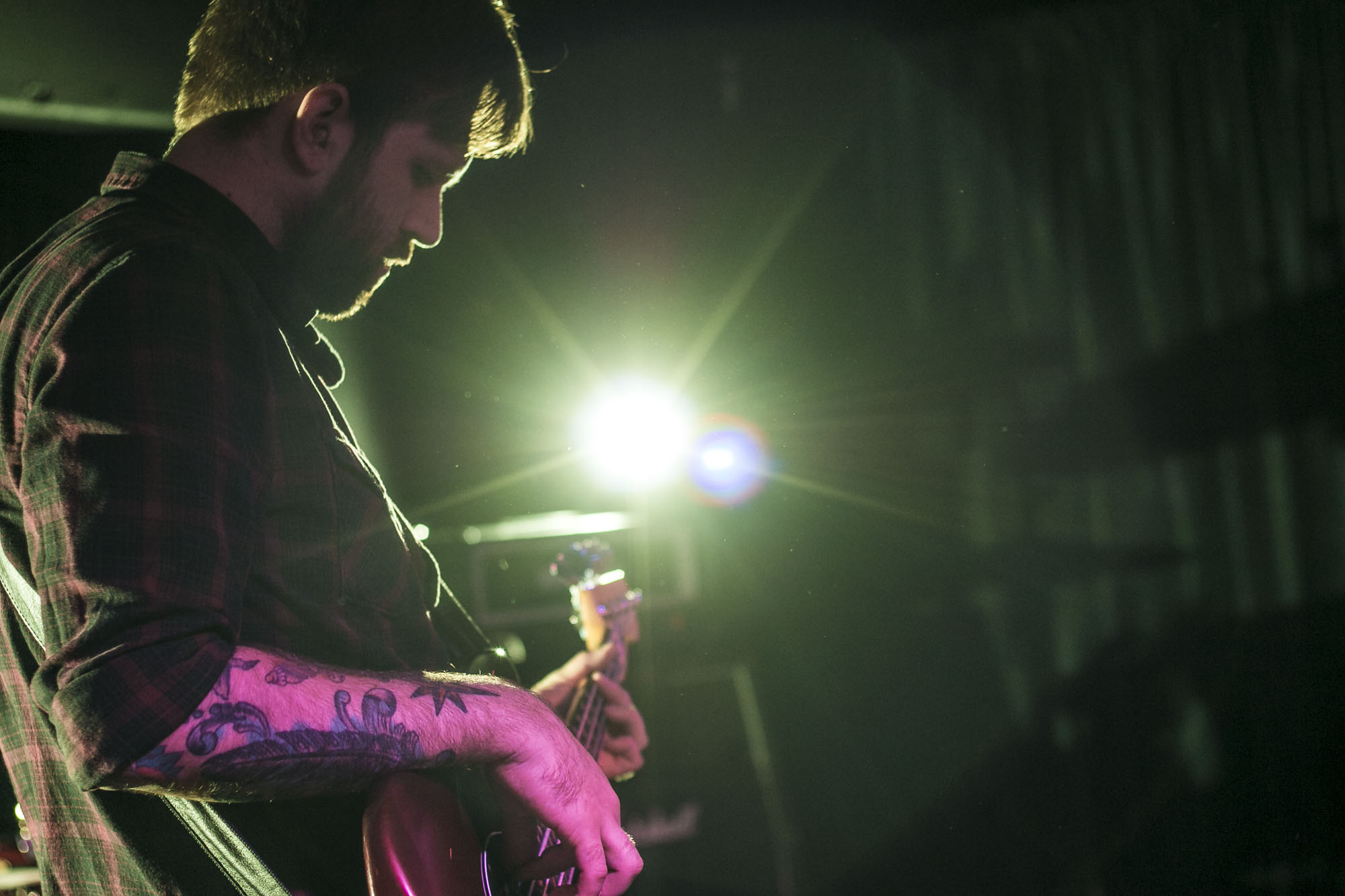 Icarus The Owl, The Analog Cafe [CLOSED], photo by Corey Terrill