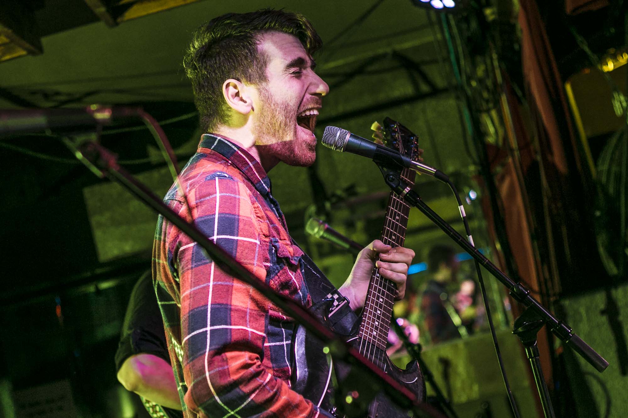 Icarus The Owl, The Analog Cafe [CLOSED], photo by Corey Terrill