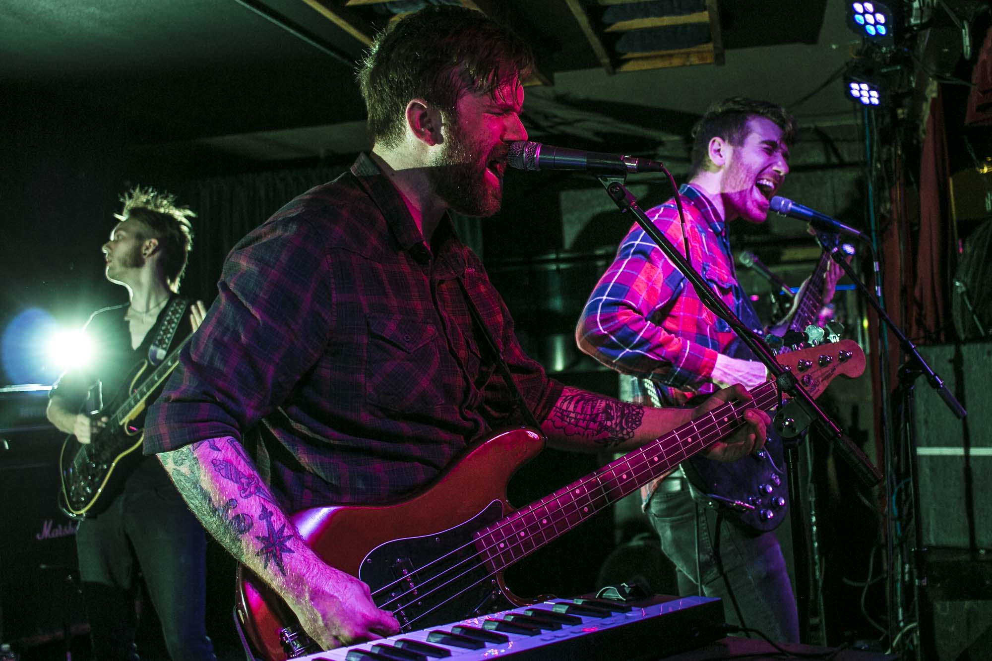 Icarus The Owl, The Analog Cafe [CLOSED], photo by Corey Terrill