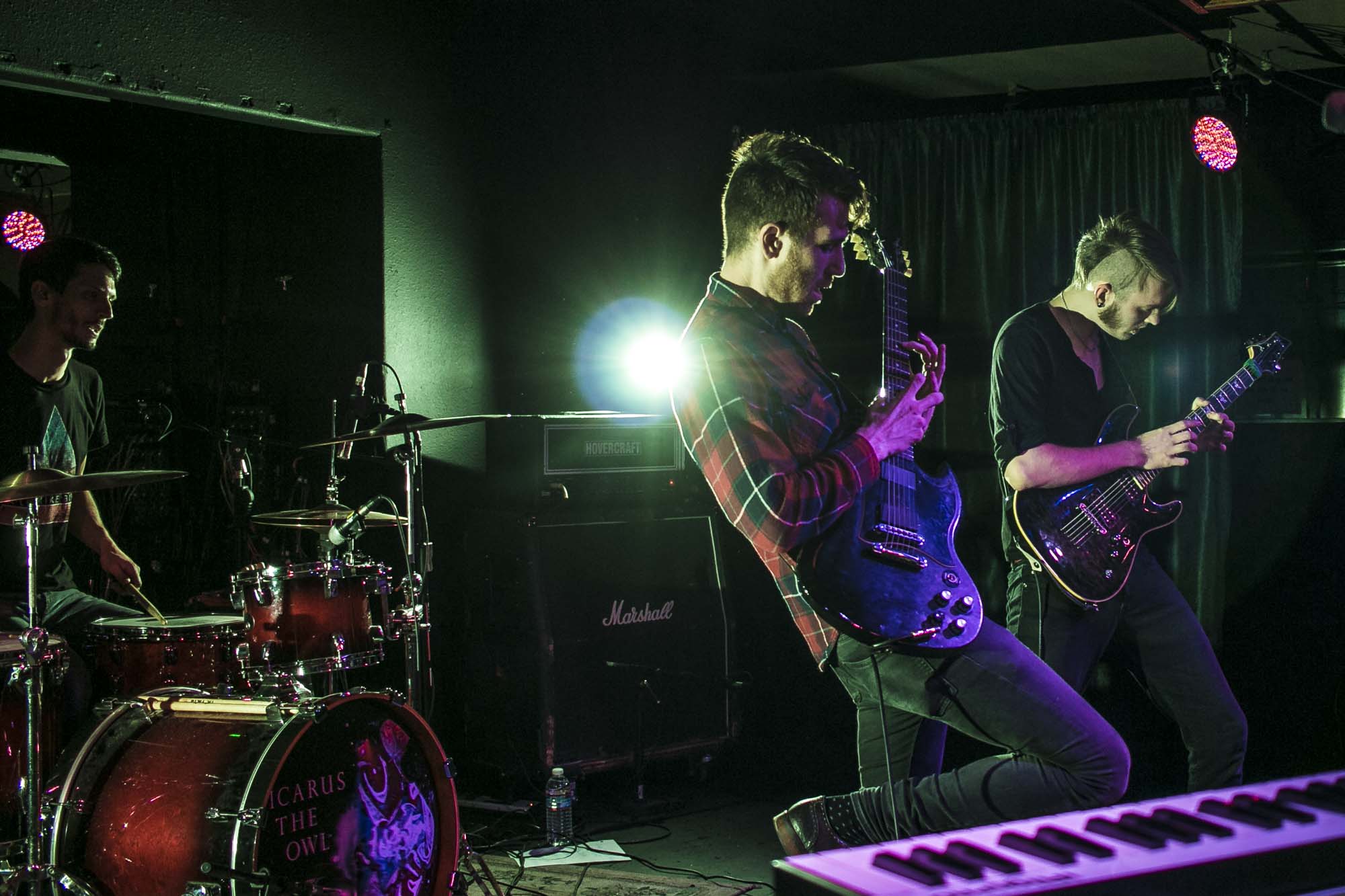 Icarus The Owl, The Analog Cafe [CLOSED], photo by Corey Terrill