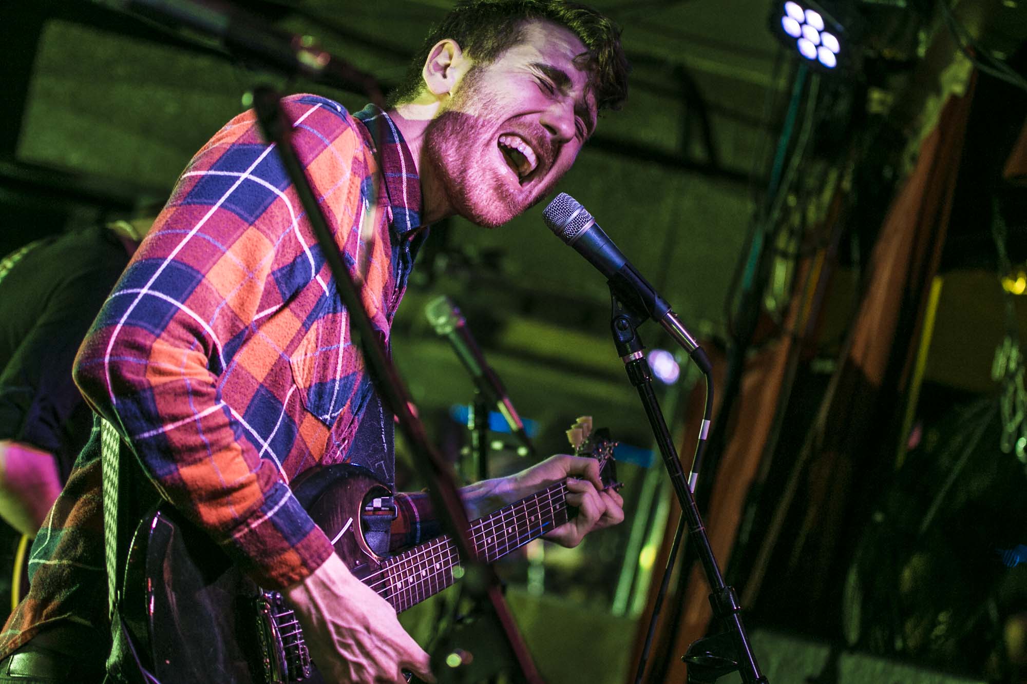 Icarus The Owl, The Analog Cafe [CLOSED], photo by Corey Terrill