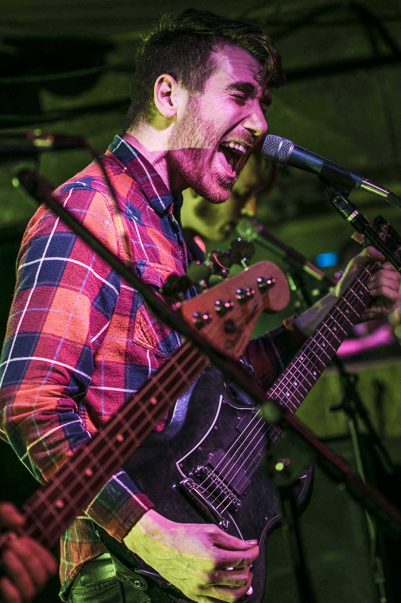 Icarus The Owl, The Analog Cafe [CLOSED], photo by Corey Terrill