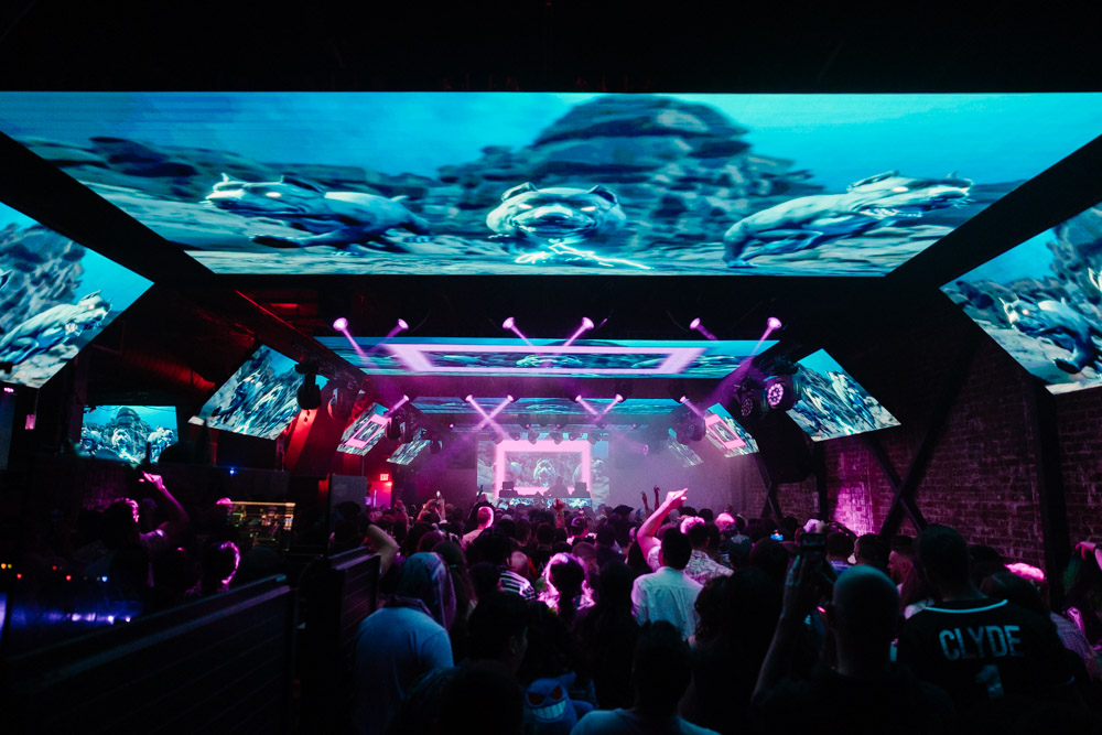 Vastive, 45 East, photo by Kai Hayashi