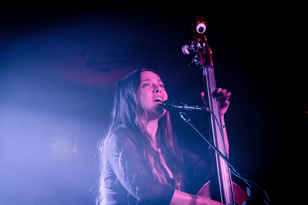 Free Creatures, The Get Down, photo by Rebecca Terrill