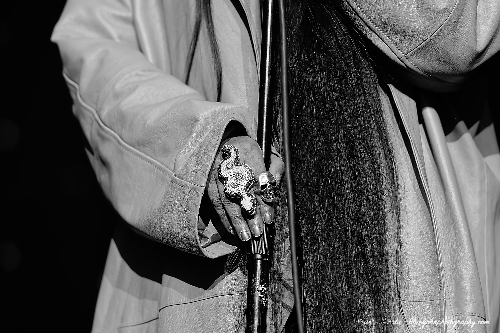 Erykah Badu, Moda Center, photo by John Alcala