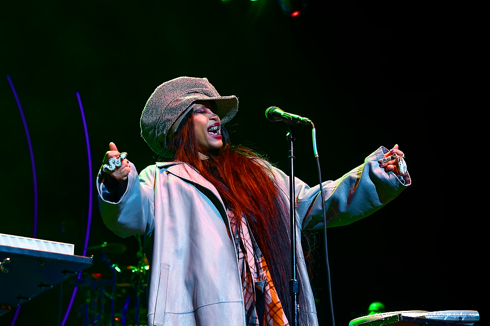 Erykah Badu, Moda Center, photo by John Alcala