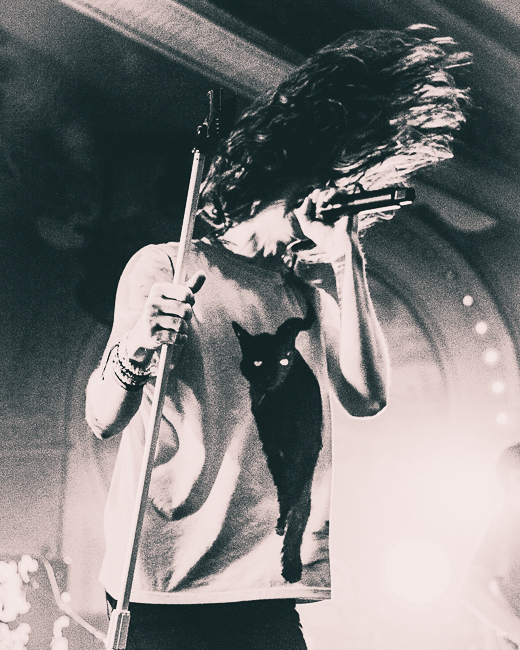 Mayday Parade, Crystal Ballroom, photo by Henry Ward