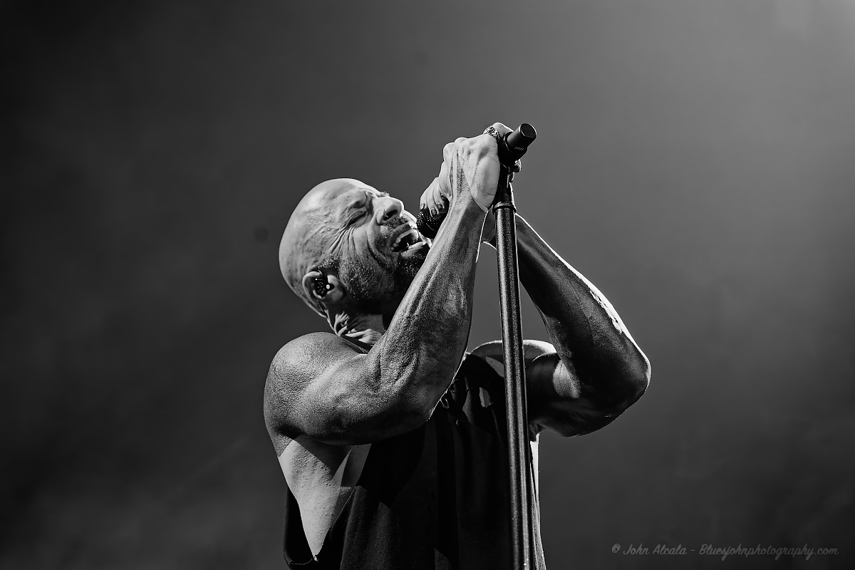 Daughtry, Moda Center, photo by John Alcala