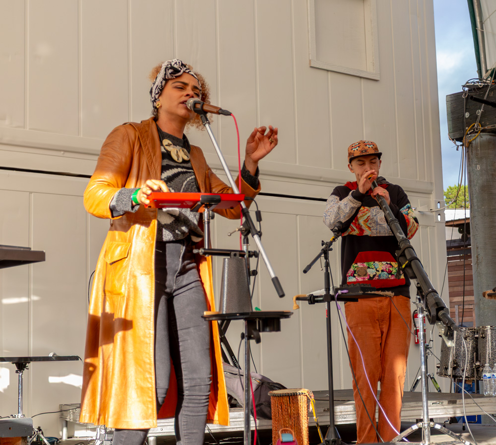 Living Roots, Green Anchors, photo by Rebecca Terrill