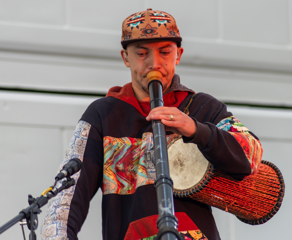 Living Roots, Green Anchors, photo by Rebecca Terrill