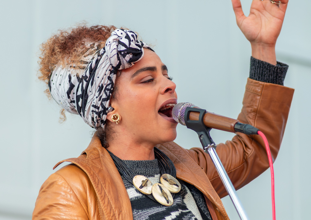 Living Roots, Green Anchors, photo by Rebecca Terrill