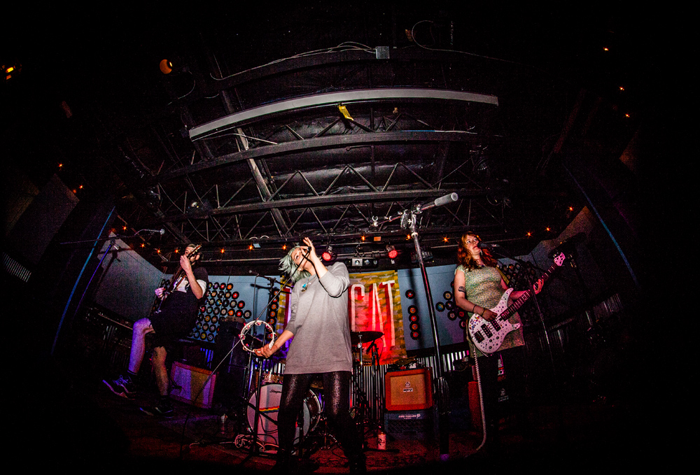 Tacocat, HiFi Music Hall, photo by Sam Gehrke