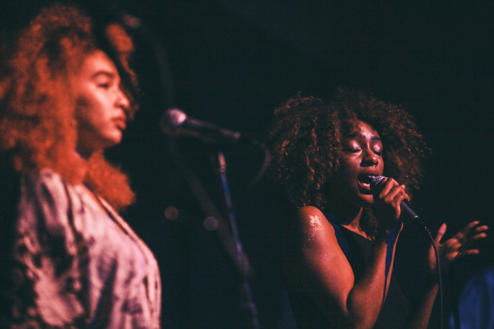 Blossom, Holocene, photo by Tojo Andrianarivo