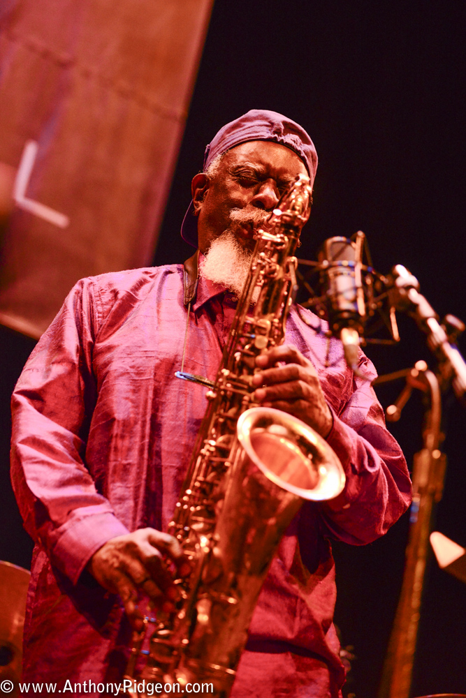 PDX Jazz Festival, photo by Anthony Pidgeon