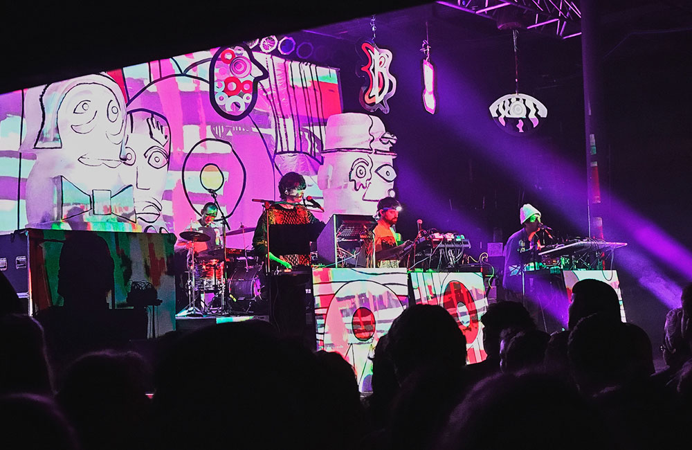 Animal Collective, Roseland Theater, photo by Autumn Andel