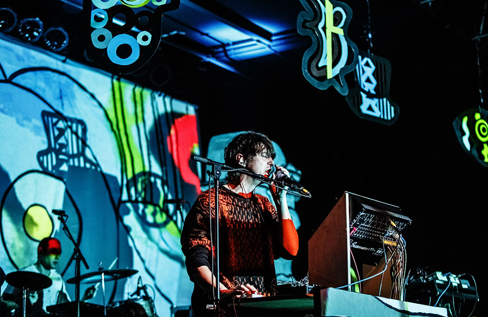 Animal Collective, Roseland Theater, photo by Autumn Andel