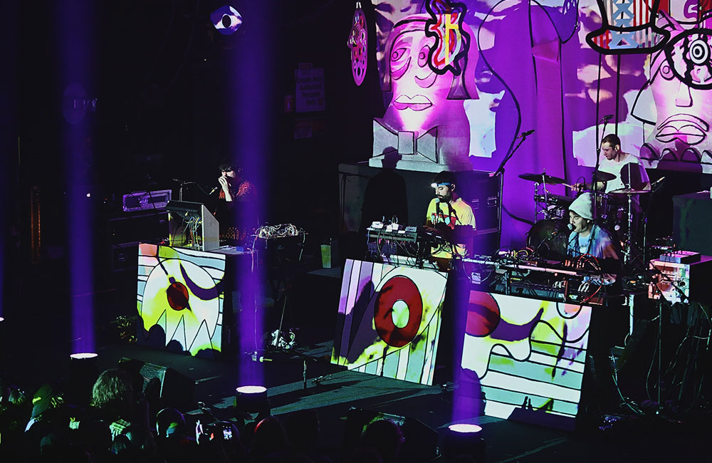 Animal Collective, Roseland Theater, photo by Autumn Andel