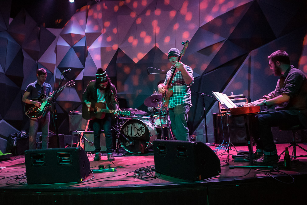 Balto, Holocene, photo by Miss Ellanea