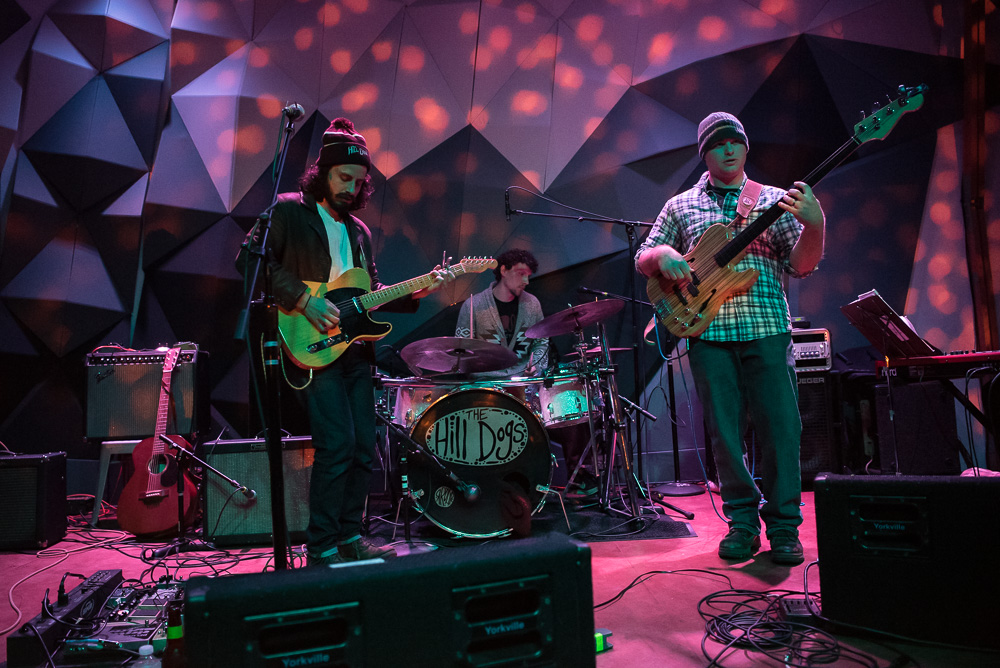 Balto, Holocene, photo by Miss Ellanea