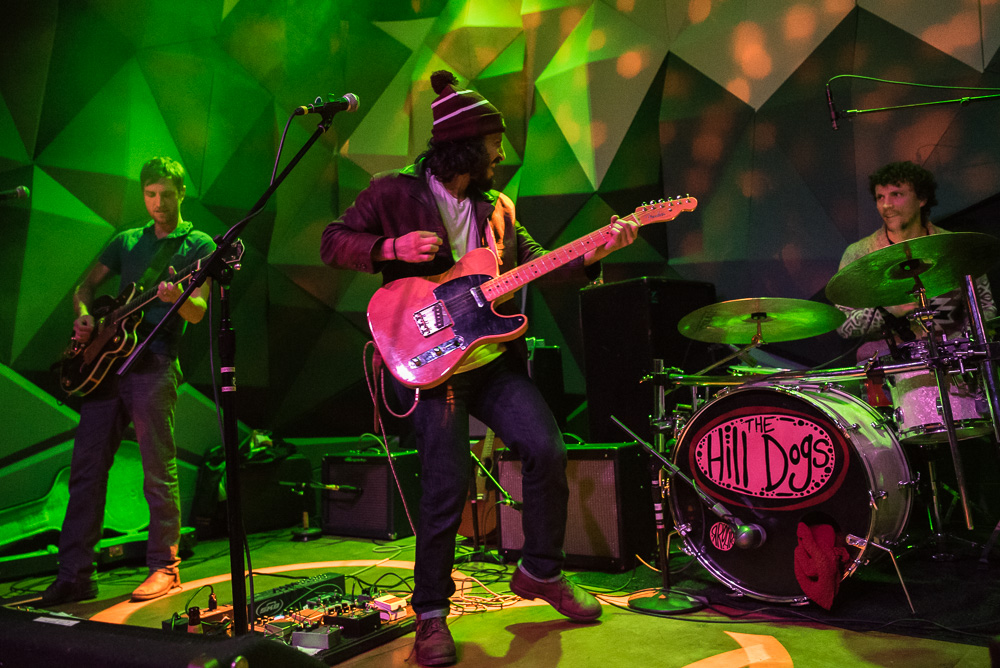 Balto, Holocene, photo by Miss Ellanea