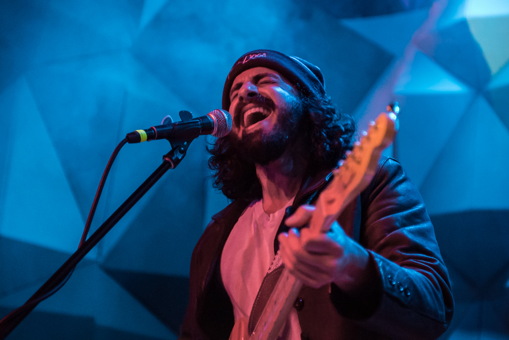 Balto, Holocene, photo by Miss Ellanea