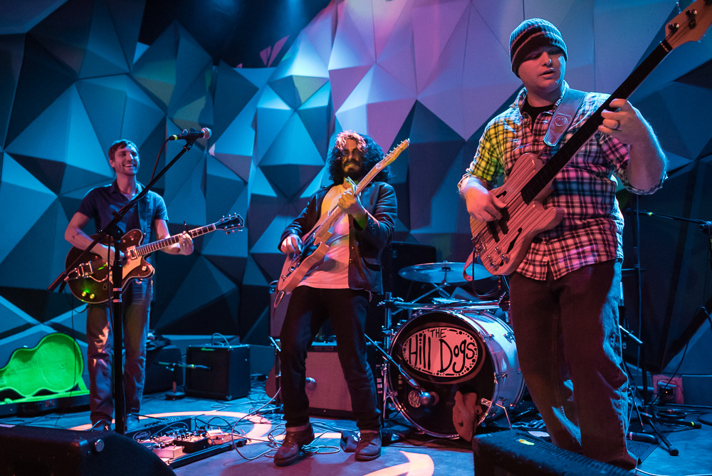 Balto, Holocene, photo by Miss Ellanea