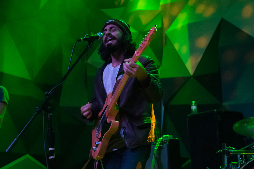 Balto, Holocene, photo by Miss Ellanea