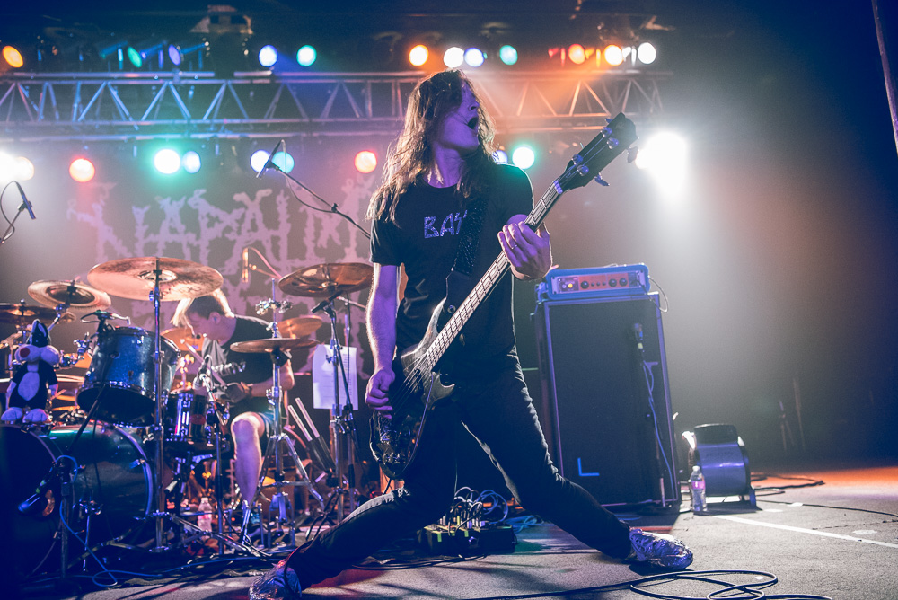 Melvins, Roseland Theater, photo by Miss Ellanea