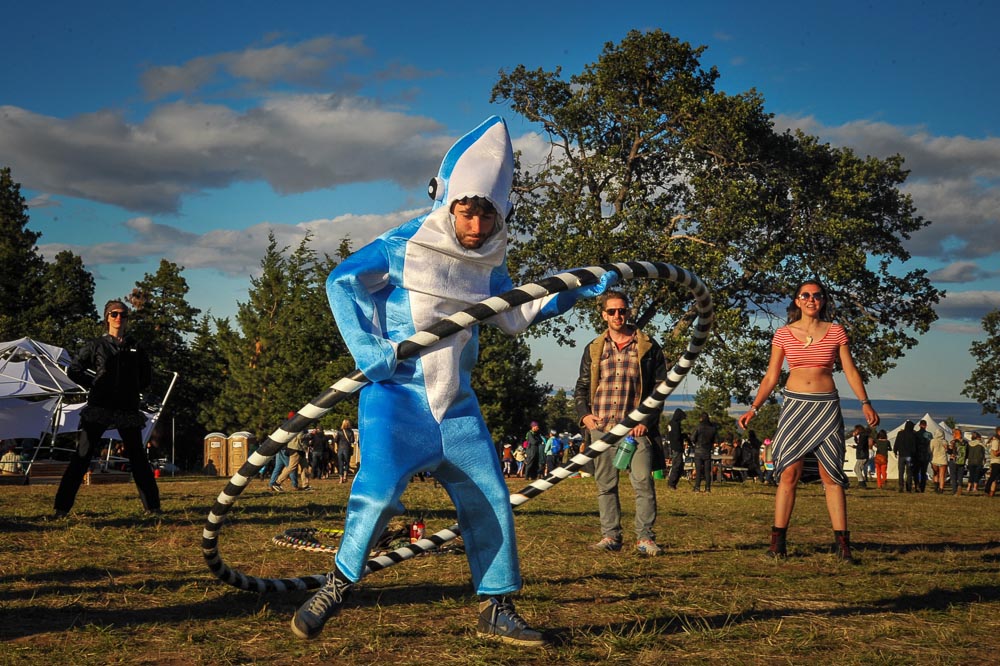 What The Festival, photo by Drew Bandy