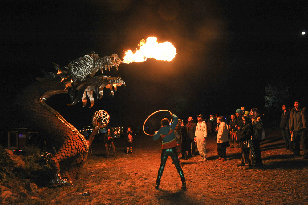 What The Festival, photo by Drew Bandy