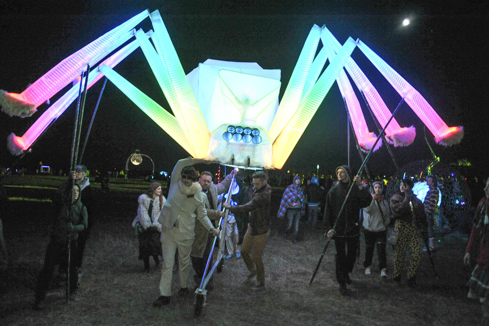 What The Festival, photo by Drew Bandy