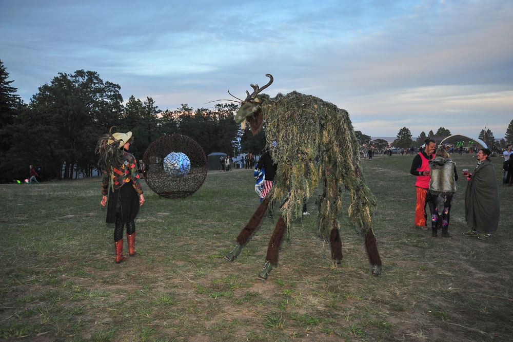 What The Festival, photo by Drew Bandy