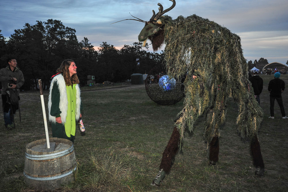 What The Festival, photo by Drew Bandy